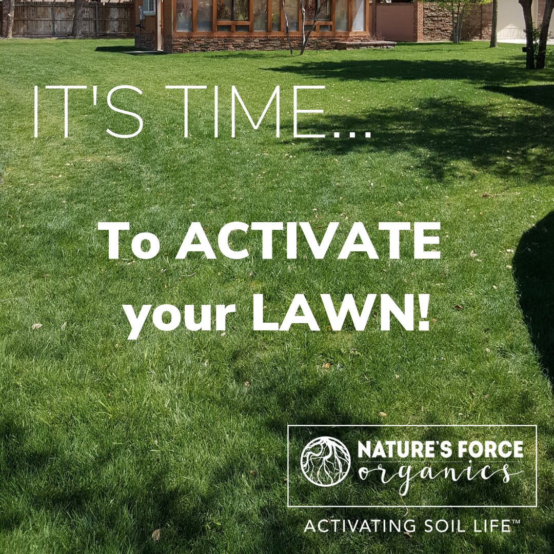 Lawn, Turf & Native Grass Care