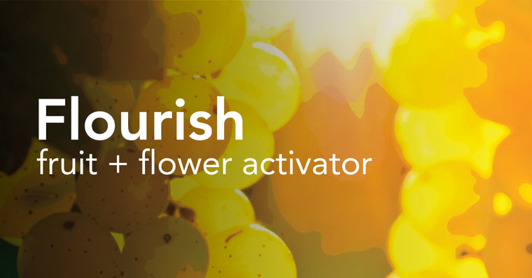 Flourish™ - Fruit & Flower Activator